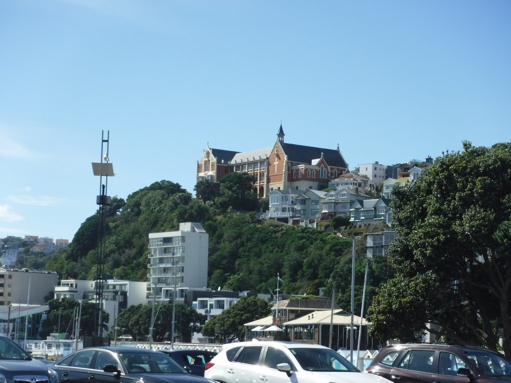 Wellington view